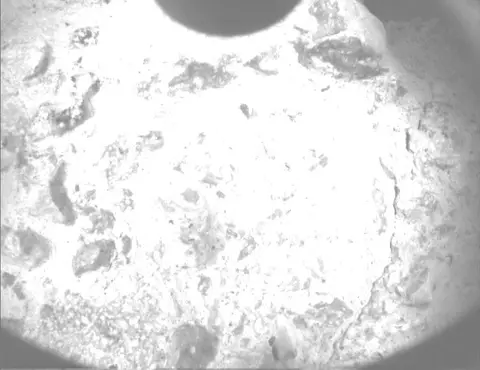 Raw image from Perseverance’s PIXL Micro Context Camera