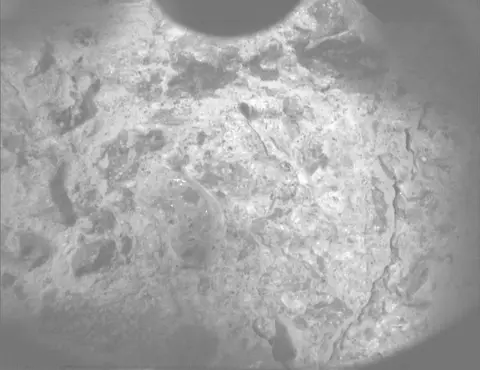 Raw image from Perseverance’s PIXL Micro Context Camera